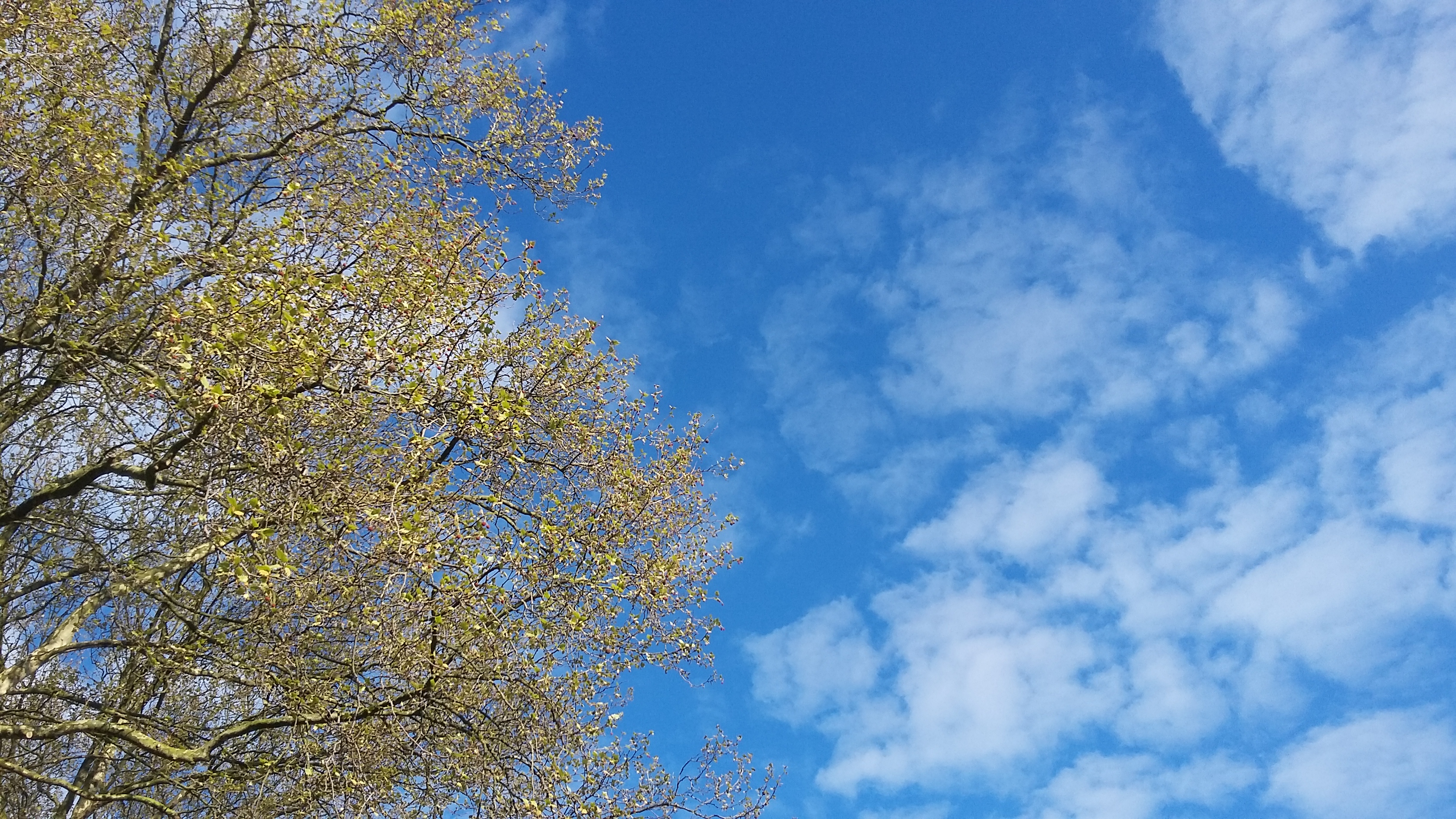 Wandeling Bewuster Kiezen