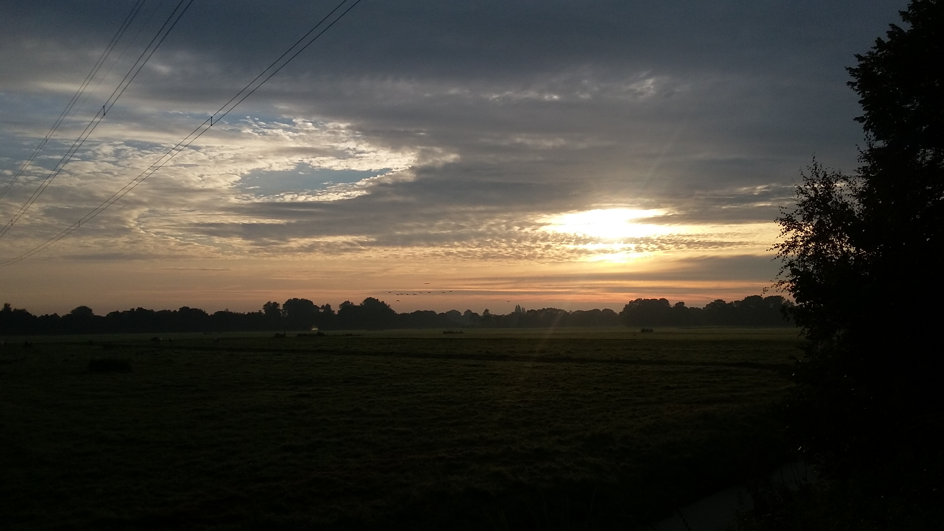 herfstwandeling loslaten