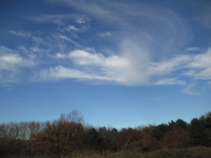 herfstvakantie kiezen LuckyLil