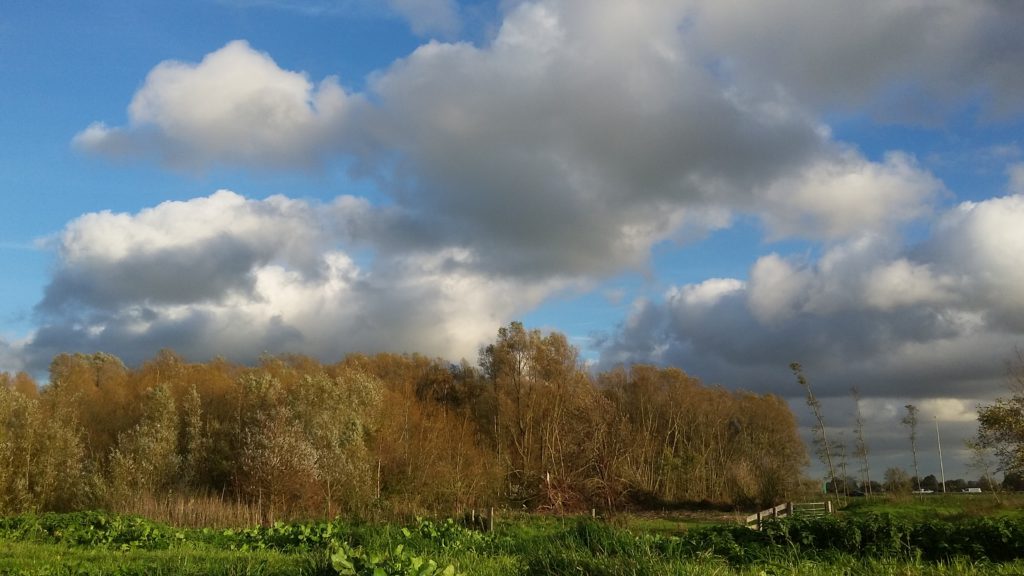 LuckyLil keuzes maken die bij je passen